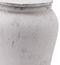 large white ginger jar