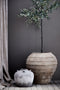 Large Olive Tree - Faux